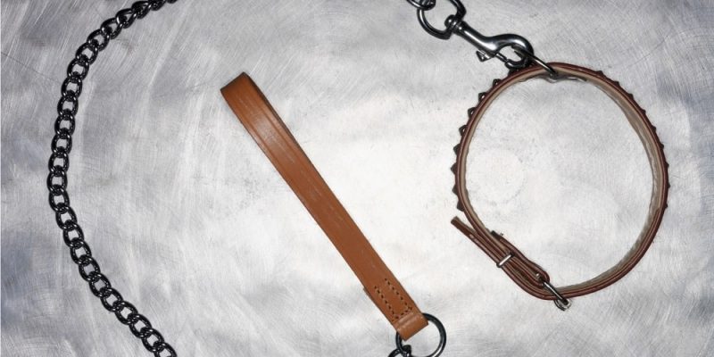 metal lead and collar