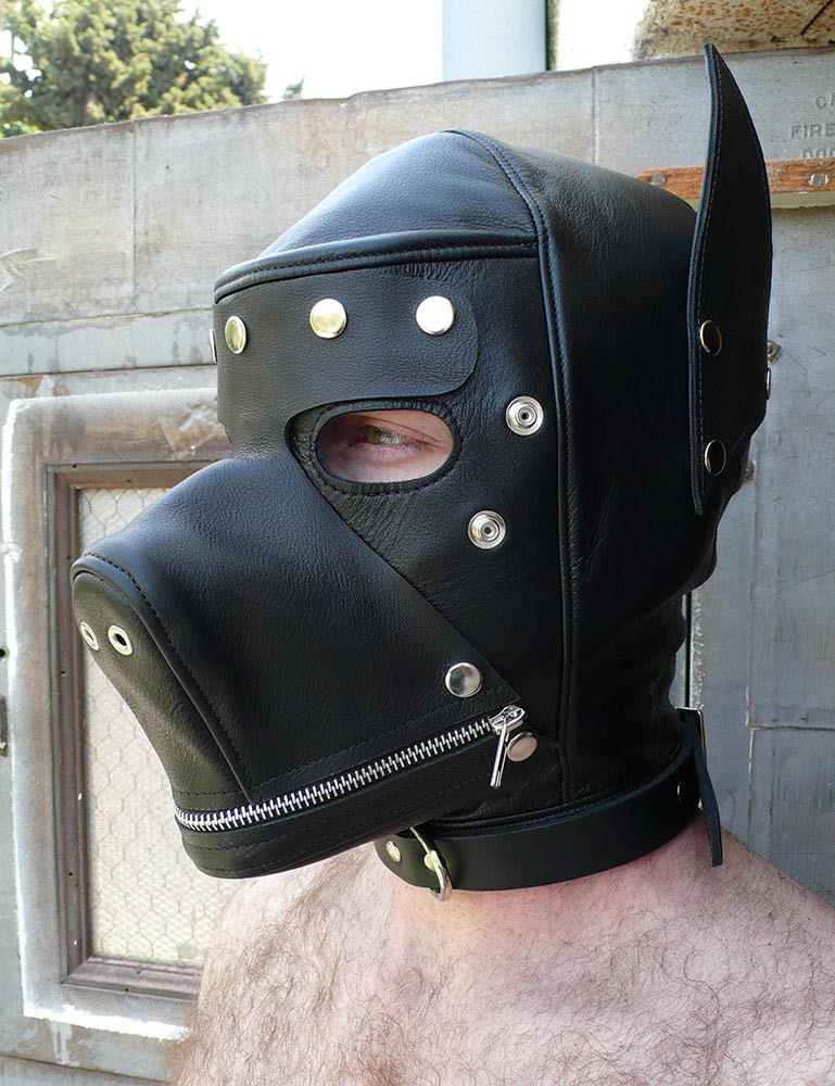 Leather Dog Hood With Muzzle, Bildfold, And Gag (Boy) .